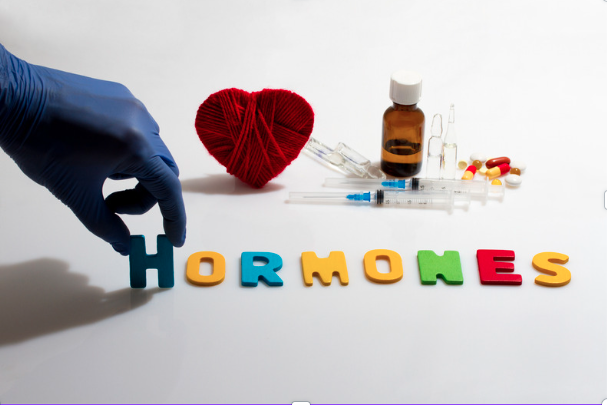 Was sind Hormone und wie funktionieren sie?